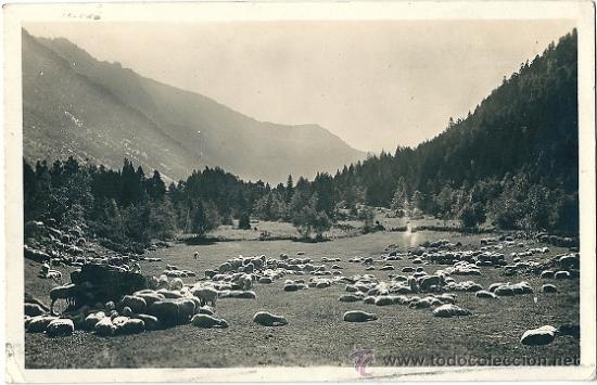 Postales: 6022L- VALLE DE ESPOT - CAMINO AL LAGO SAN MAURICIO - ZERKOWITZ - DATA 1943