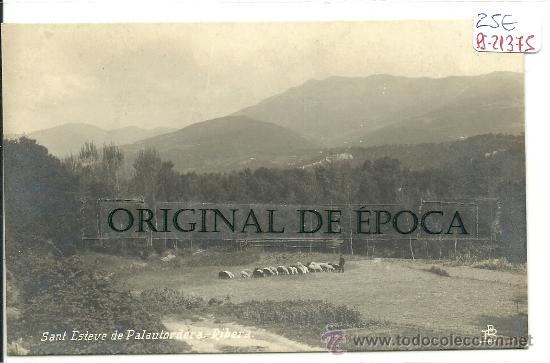 Postkarten: (PS-21375)POSTAL FOTOGRAFICA DE SANT ESTEVE DE PALAUTORDERA-RIBERA.PASTOR CON SUS OVEJAS