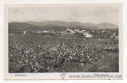 Postales: ESPOLLA. VISTA GENERAL. - Foto 1