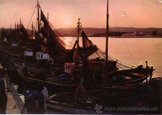 Postcards: N&ordm; 8379 COSTA BRAVA BARCOS DE PESCA PALAMOS
