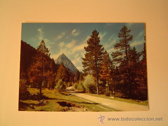 Postales: Postal de Pirineos de Lerida.-El Pallars Valle de Espot- Camino de San Mauricio