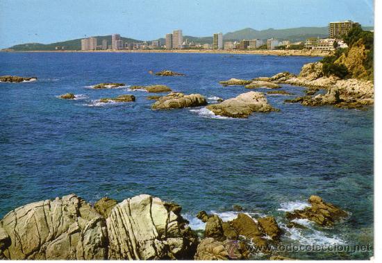 Postales: N&ordm; 8658 PLAYA DE ARO GERONA - Foto 1