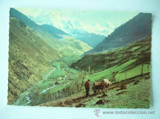 Postales: VALLE DE ARAN. N&ordm; 5018. LERIDA.