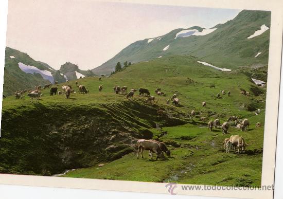 Postales: PIRINEU CATAL&Agrave; N&ordm; 244 PUERTO DE LA BONAIG&Uuml;A EDICIONES SICILIA SIN CIRCULAR NUEVA