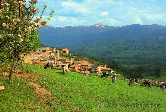 Postales: PRULLANS L&Eacute;RIDA VISTA GENERAL SIN CIRCULAR - Foto 1