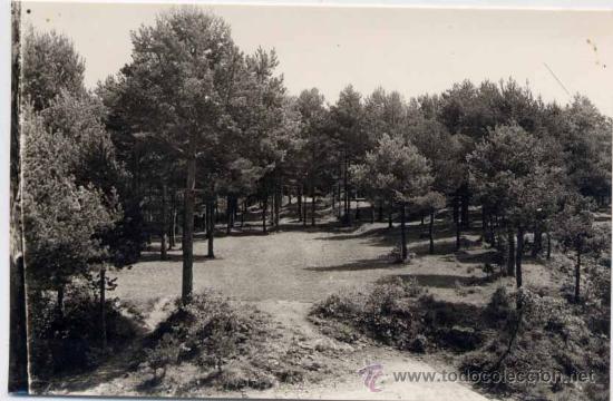 Postales: BORRED&Aacute; (BARCELONA).- BOSQUE LA LLUSADA - Foto 1