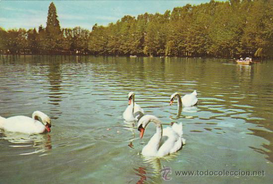 Postales: Puigcerda (Gerona), el lago - Foto 1