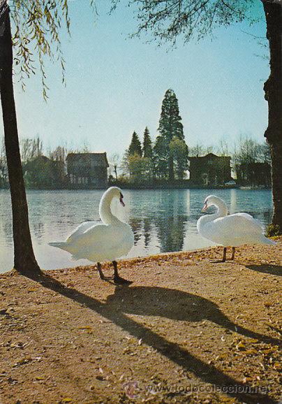 Postales: Puigcerda (Gerona), el lago - Foto 1