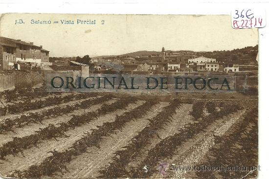 Postcards: (PS-22714)POSTAL FOTOGRAFICA DE SALAMO(TARRAGONA)-VISTA PARCIAL