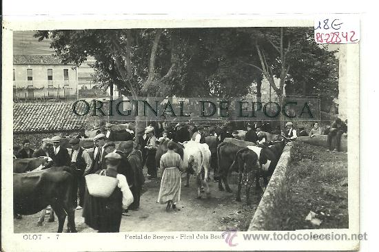 Postkarten: (PS-22842)POSTAL FOTOGRAFICA DE OLOT-FERIAL DE BUEYES