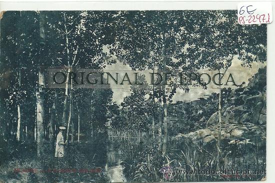 Postales: (PS-22971)POSTAL DE BLANES - Foto 1