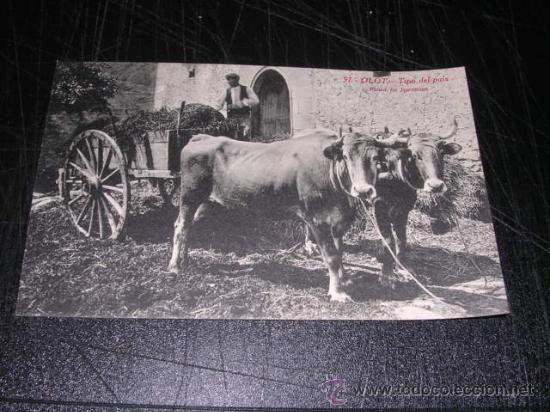 Postales: 91 OLOT - TIPO DEL PAIS - Foto 1