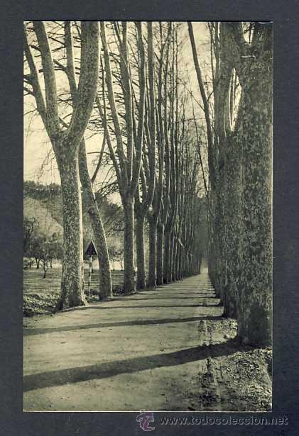Postales: Postal d' ARBUCIES: La Carretera (Ed.Fot.Bosch num. 12/63)