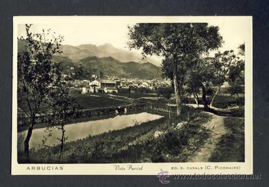 Postales: Postal d' ARBUCIES: Vista parcial (Ed.Casals)