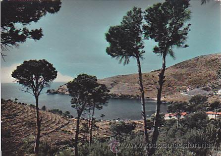 Postales: POSTAL ROSAS CALA MONJOY - Foto 1