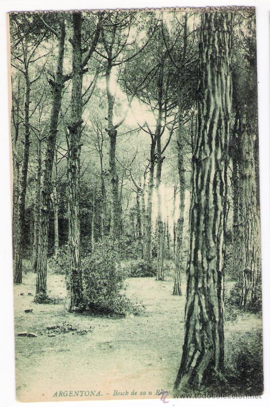 Postales: ARGENTONA  -  BOSCH DE CA U RIBOT - Foto 1