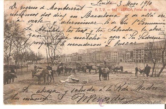 Postales: POSTAL A.T.V. LERIDA FERIAL DE GANADO
