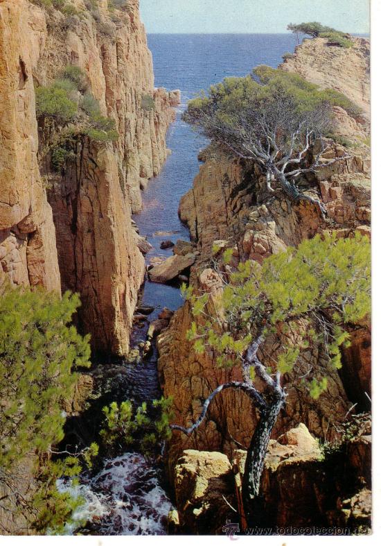 Postales: POSTAL N&ordm; 9987 COSTA BRAVA GERONA - Foto 1