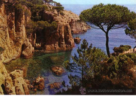 Postales: N&ordm; 10387 SAGARO GERONA - Foto 1