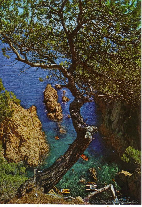 Postales: N&ordm; 10401 CALA COSTA BRAVA GERONA - Foto 1