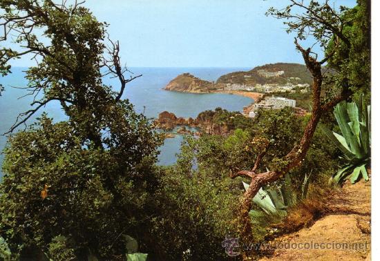 Postales: N&ordm; 11181 TOSSA GERONA - Foto 1
