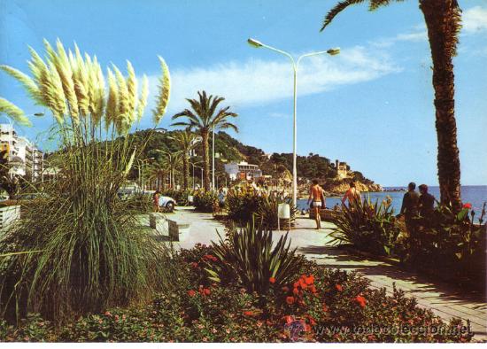 Postales: N&ordm; 11318 POSTAL LLORET DE MAR GERONA - Foto 1