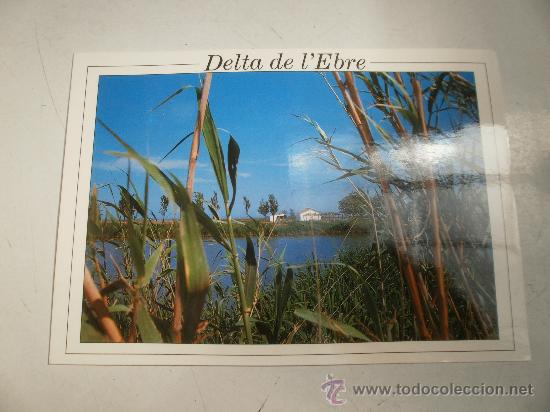 Postales: POSTAL DELTA DE LEBRE CA&Ntilde;AS Y RIO - Foto 1
