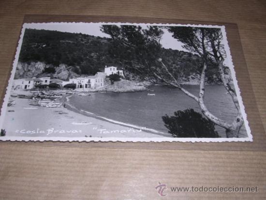 Postales: COSTA BRAVA TAMARIU 14X9 CM. - Foto 1