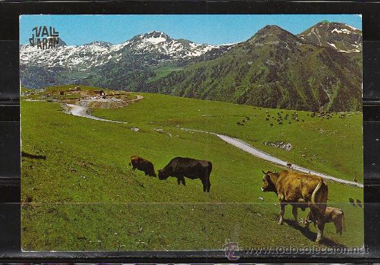 Postales: VALL D&acute;ARAN N&ordm; 140. PLA DE BERET