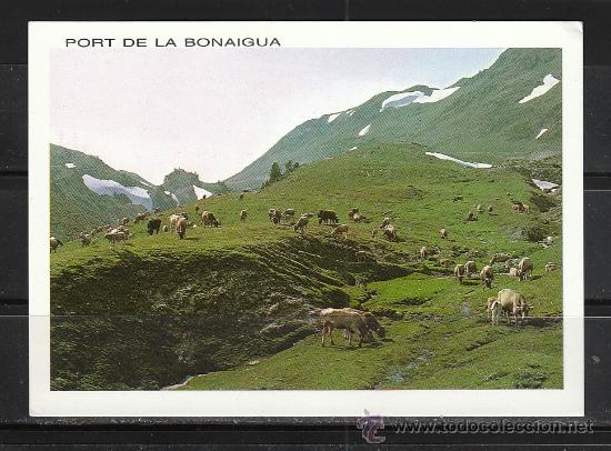 Postales: N&ordm; 244. PUERTO DE LA BONAIGUA. ALT. W2072 M.