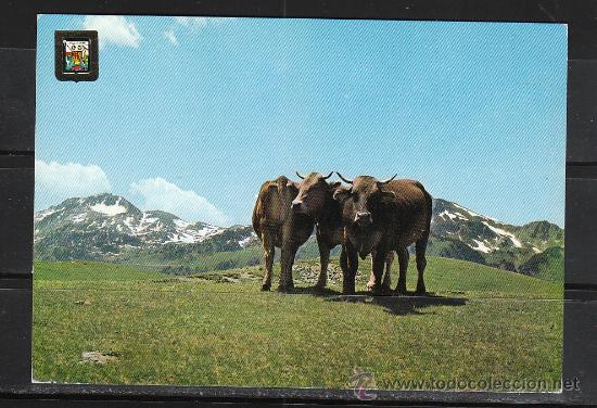 Postales: N&ordm; 5191. VALL D&acute;ARAN. PORT DE BONAIGUA