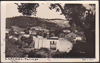 Cartoline: POSTAL FOTOGRAFICA CA&Ntilde;AMAS PAISAJE FOT. A. GUELL