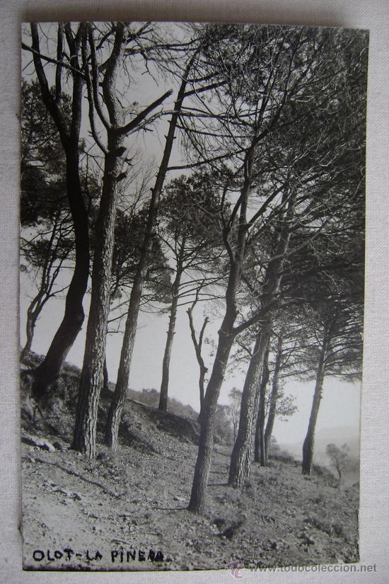 Postales: OLOT.-LA PINEDA.FOTOGRAFICA.10382