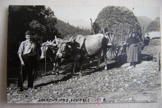 Postcards: OLOT.-TIPOS DEL PAIS.FOTOGRAFICA.-10386