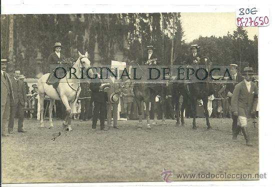 Postcards: (PS-27650)POSTAL FOTOGRAFICA DE PUIGCERDA-CONCURSO HIPICO 1913