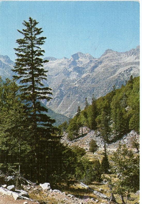 Postales: postal pirineu catalan serra de la pleta nova