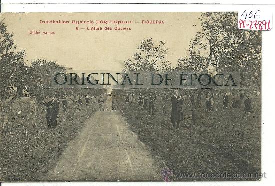 Postcards: (PS-27891)POSTAL DE FIGUERAS-INSTITUCION AGRICOLA FORTIANELL.OLIVOS