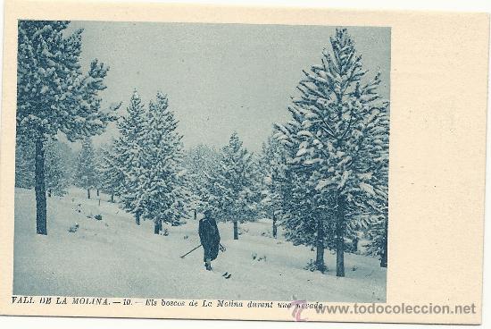 Postales: LA MOLINA, VALL DE LA MOLINA, CENTRE EXCURSIONISTA DE CATALUNYA, I. CANALS