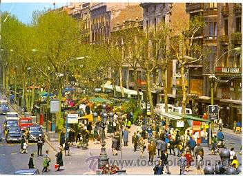 Postales: 7-esp1547. Postal Barcelona. Rambla - Foto 1