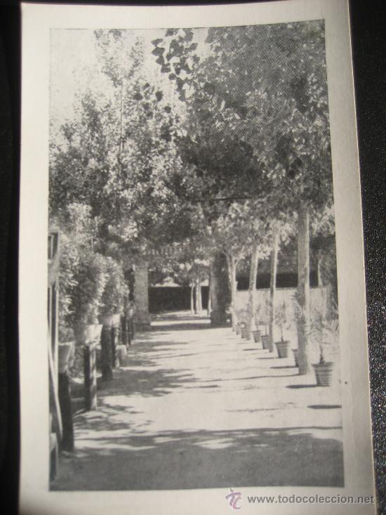 Postales: Tarrega. Jardines la Granja. Postal sin circular - Foto 1