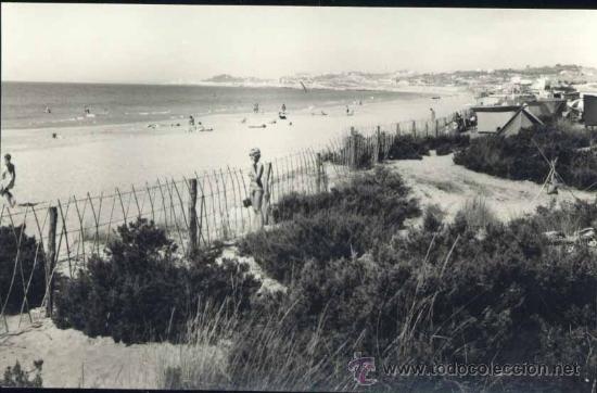 Postales: TARRAGONA.- CAMPING LAS PALMERAS-UN DETALLE