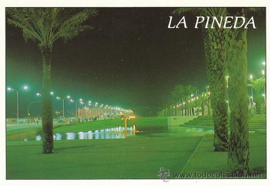 Postkarten: L Pineda, editor: Campa&ntilde;&aacute; n&ordm; 61281