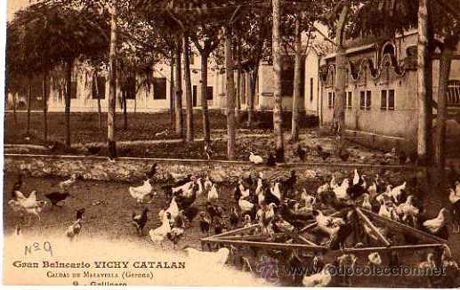 Postcards: Caldas de Malavella. Balneario Vichy Catalan.  Gallinero. No Circulada.