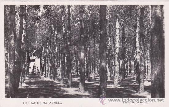 Postales: Caldas de Malavella Pinar de Benaula (escrita) - Foto 1