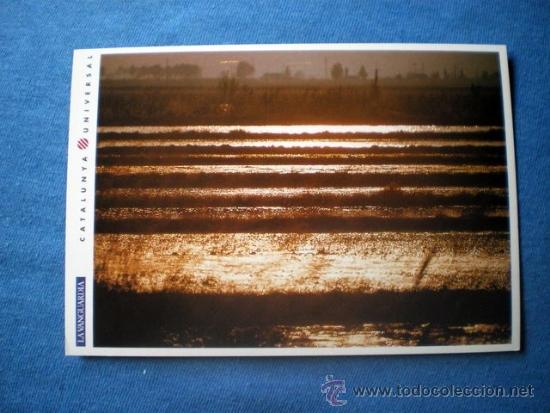 Cartes Postales: POSTAL CATALUNYA UNIVERSAL LA VANGUARDIA N&ordm; 1-19 AMANECER EN DELTA DE L'EBRE