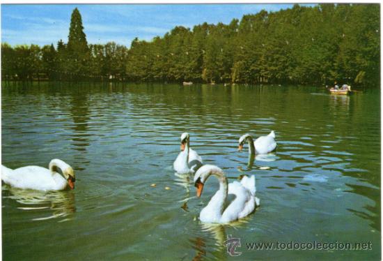 Postales: PUIGCERDA - LAGO CISNES - EDICI&Oacute;N CAMPA&Ntilde;A - POSTAL