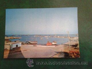 Postales: Postal sin circular puerto Sant Carles de la R&agrave;pita San Carlos de la R&aacute;pita a&ntilde;os 70
