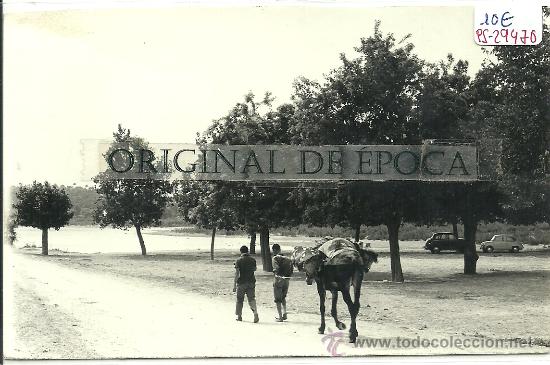 Postales: (PS-29470)POSTAL DE MIRAVET(TARRAGONA)