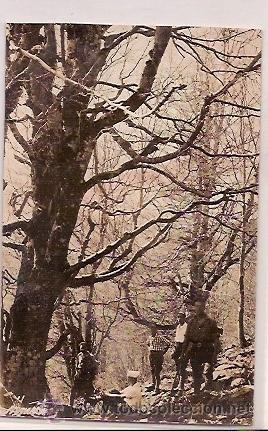 Postales: POST CARD POBLE DEL MONTSENY - Foto 1