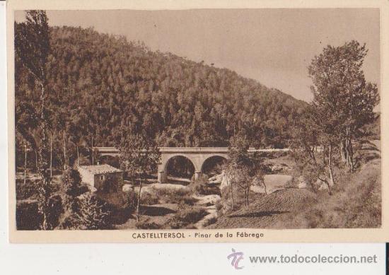 Postkarten: Castelltersol pinar de la Fabrega,Huecograbado Munbru y c&ordf;.Barcelona
